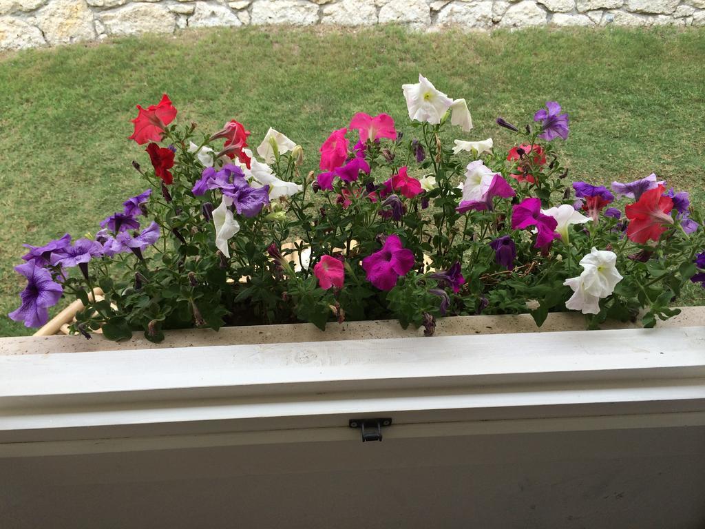 Alacati Roka Hotel 部屋 写真